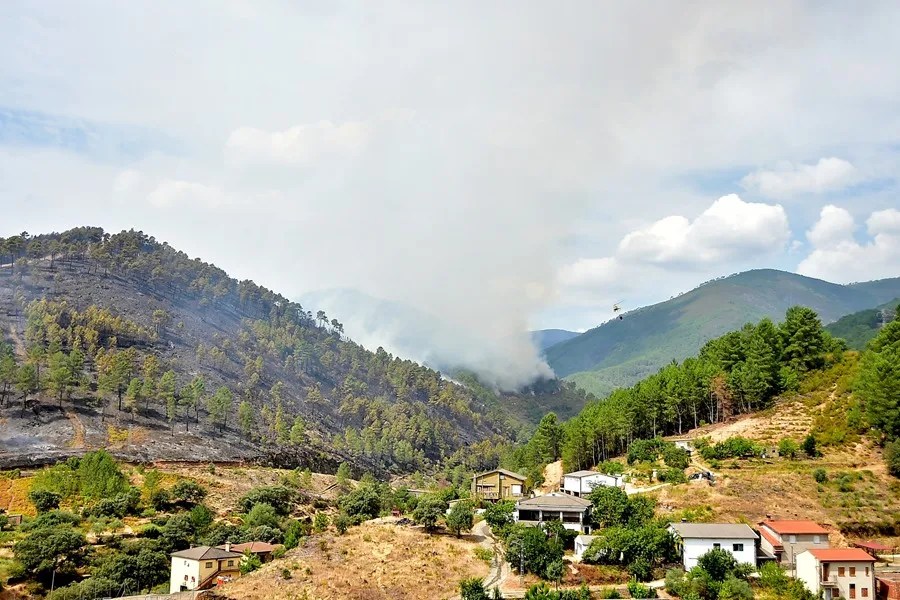 incendio Pinofranqueado
