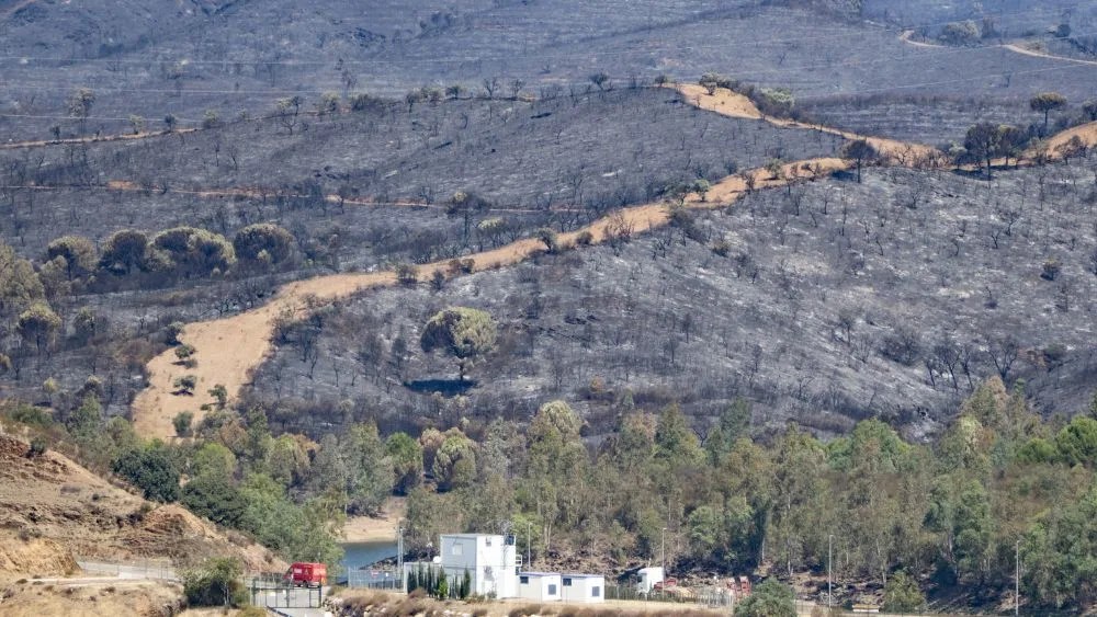 incendio Niebla