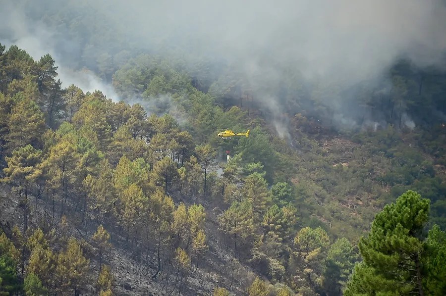 incendio Cáceres Pinofranqueado