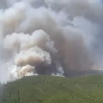 INCENDIO PINOFRANQUEADO