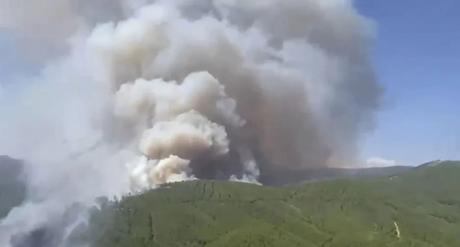 INCENDIO PINOFRANQUEADO