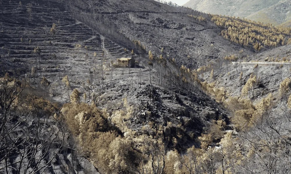 La alquería de Avellanar Pinofranqueado (Cáceres), tras el cambio causado por el incendio