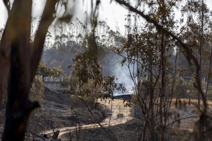 incendios lunes