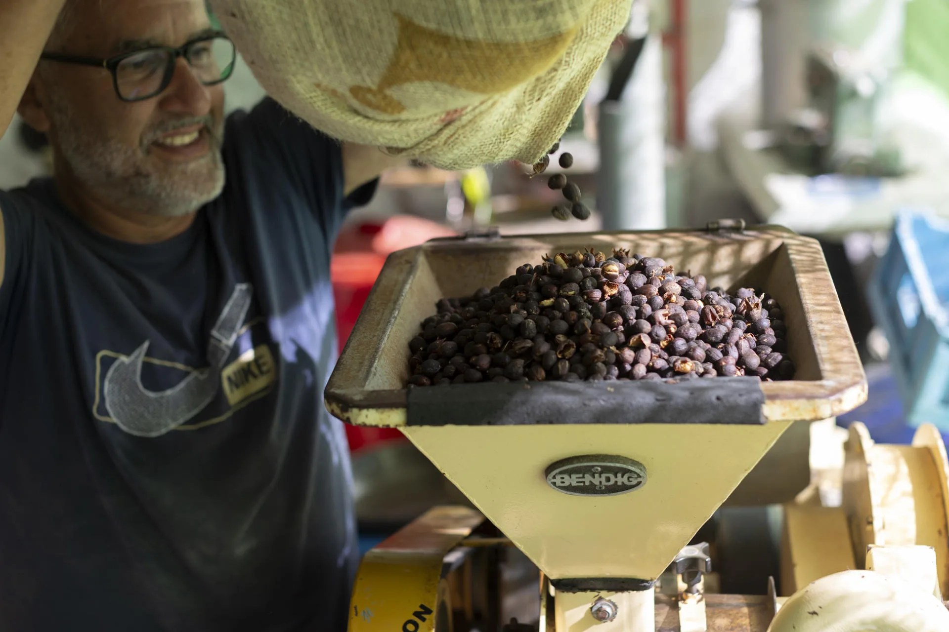 Hace más de 100 años, empezó a cultivarse café en Agaete (Gran Canaria) como una ayuda al predominante cultivo del plátano. Enraizado en tierra volcánica, a una menor altitud de la normal, pronto este experimento se destacó como algo rentable, y la tradición ha pasado de generación en generación. Hoy, busca ser reconocido a nivel europeo. En la imagen, cultivo de café en la finca La Morreta. EFE/ Quique Curbelo.