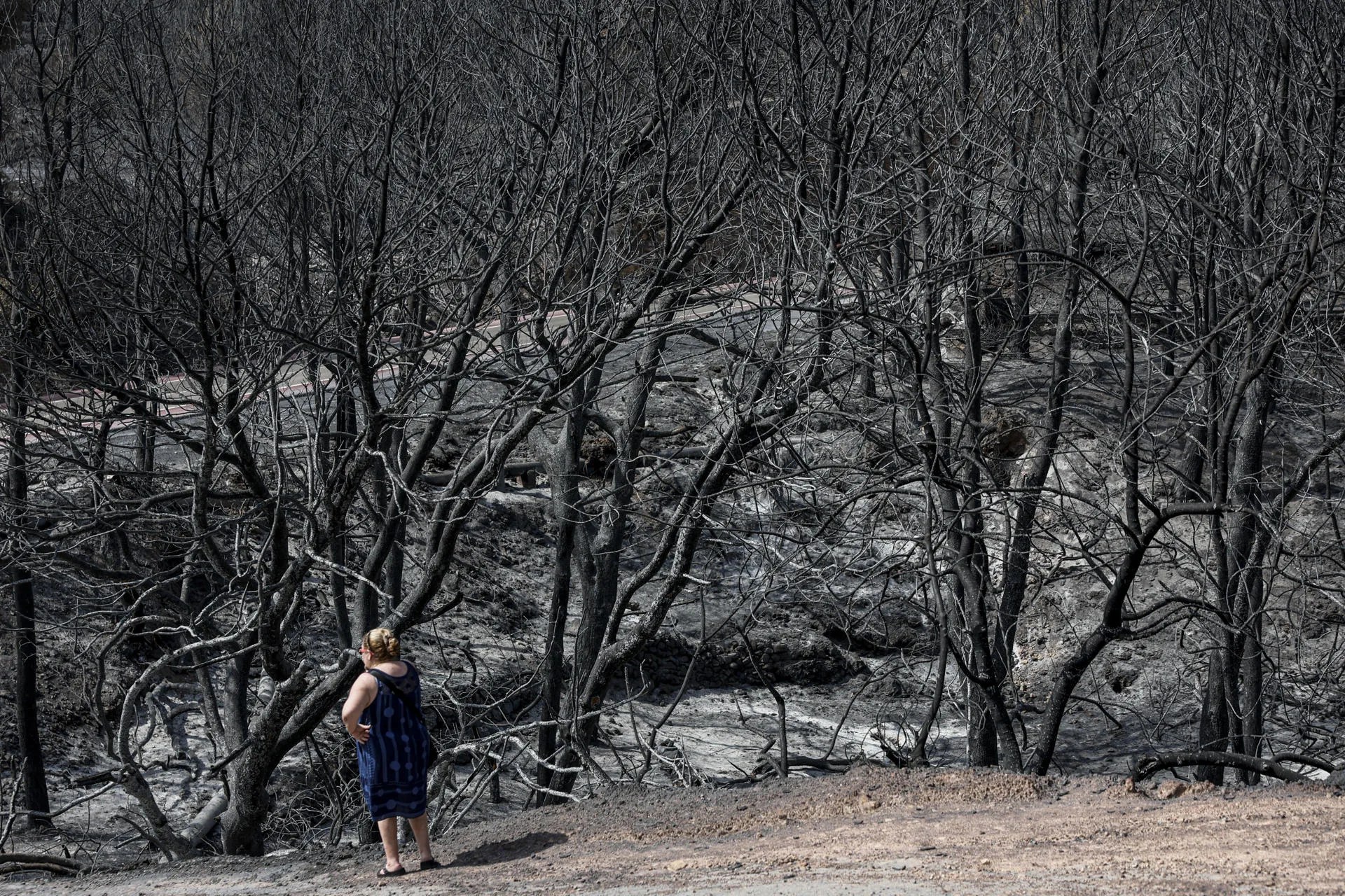 FOTODELDÍA - . ARTANA (CASTELLÓN), 01/08/2026.- Una mujer observa, este sábado uno de agosto, los efectos causados por el incendio en una zona cercana a la localidad de Artana (Castellón). Los medios terrestres y aéreos de extinción refrescan la zona afectada por el incendio y centran sus trabajos en los puntos calientes para que no se produzcan rebrotes del fuego. EFE/Manuel Bruque