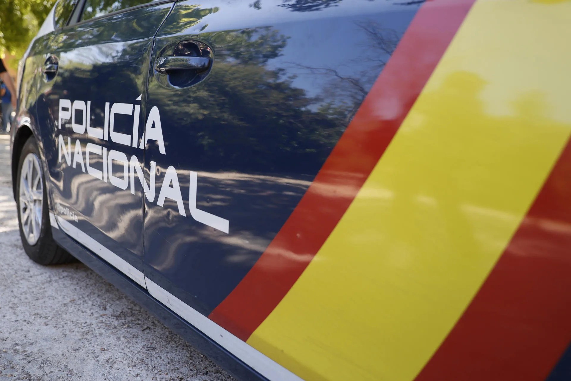 Coches del Cuerpo Nacional de Policía. EFE/Mariscal