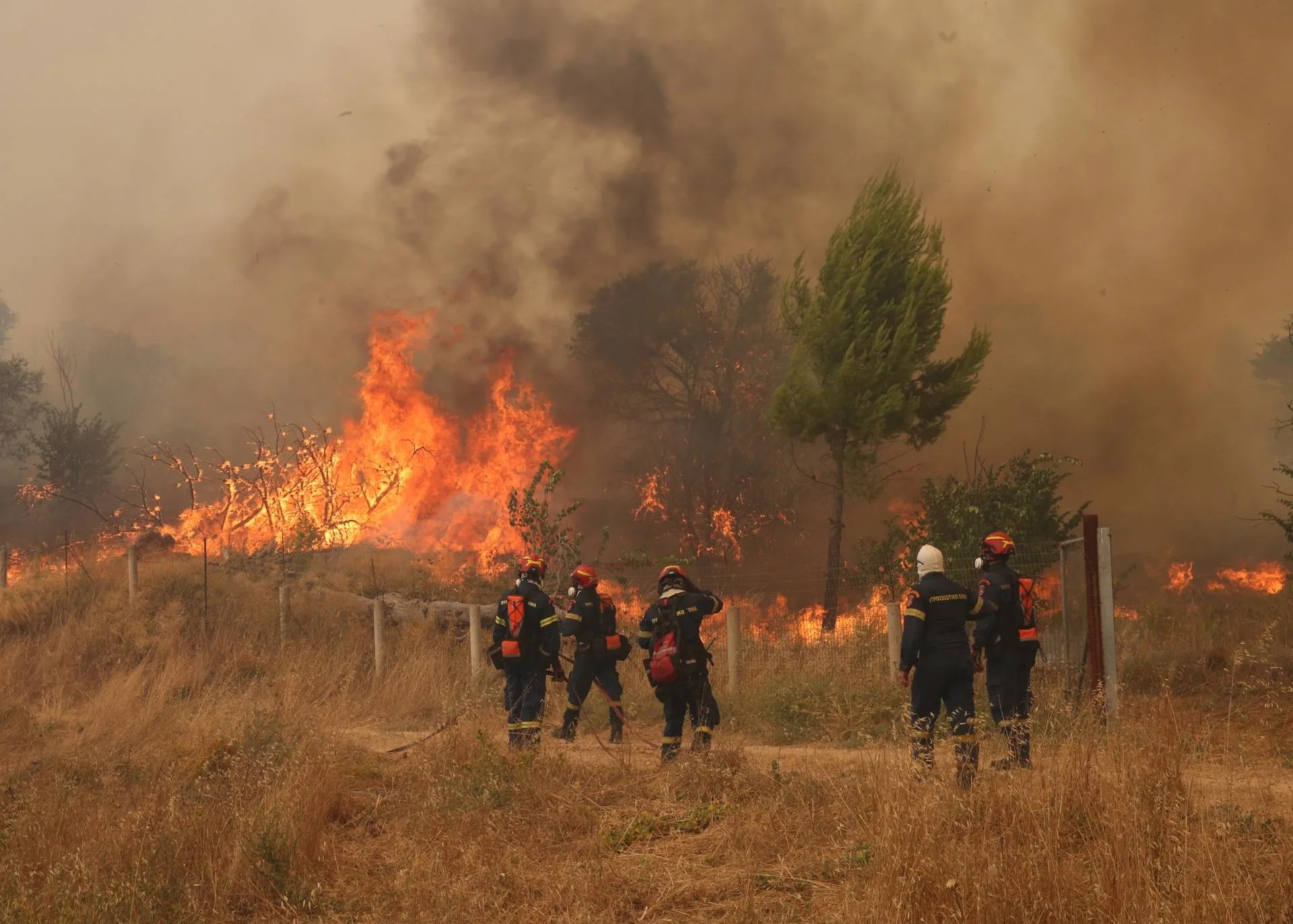 MEGARA (Greece), 02/08/2026.- Firefighters battle a wildfire in the wider area of Megara, Attica, Greece, 02 August 2026. EFE/EPA/ORESTIS PANAGIOTOU
