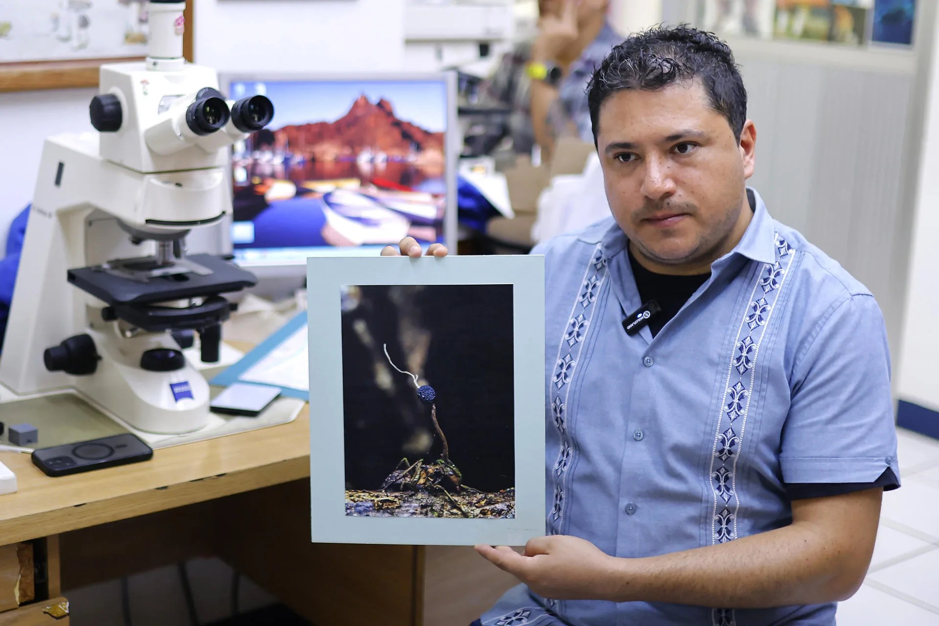 César Eduardo Ballesteros, who holds a master's degree in science, shows a photograph of an ant infected by the "zombie fungus" (Ophiocordyceps unilateralis) on Thursday at the University Center for Biological and Agricultural Sciences (CUCBA) at the University of Guadalajara in Jalisco, Mexico, on Aug. 13, 2026. EFE/Francisco Guasco
