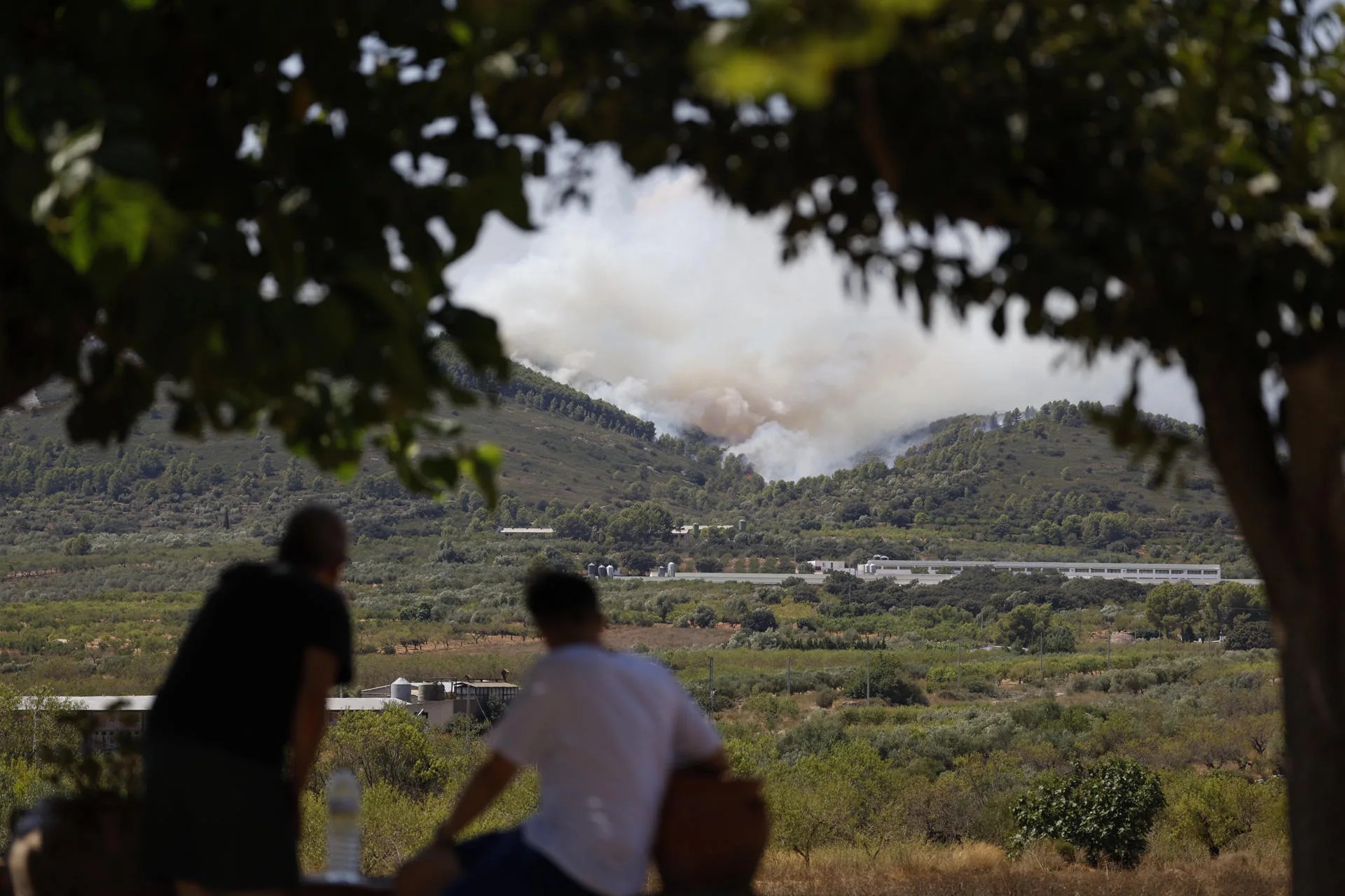 Los medios de extinción trabajan en el incendio de Catí. Archivo/EFE/ Ana Escobar
