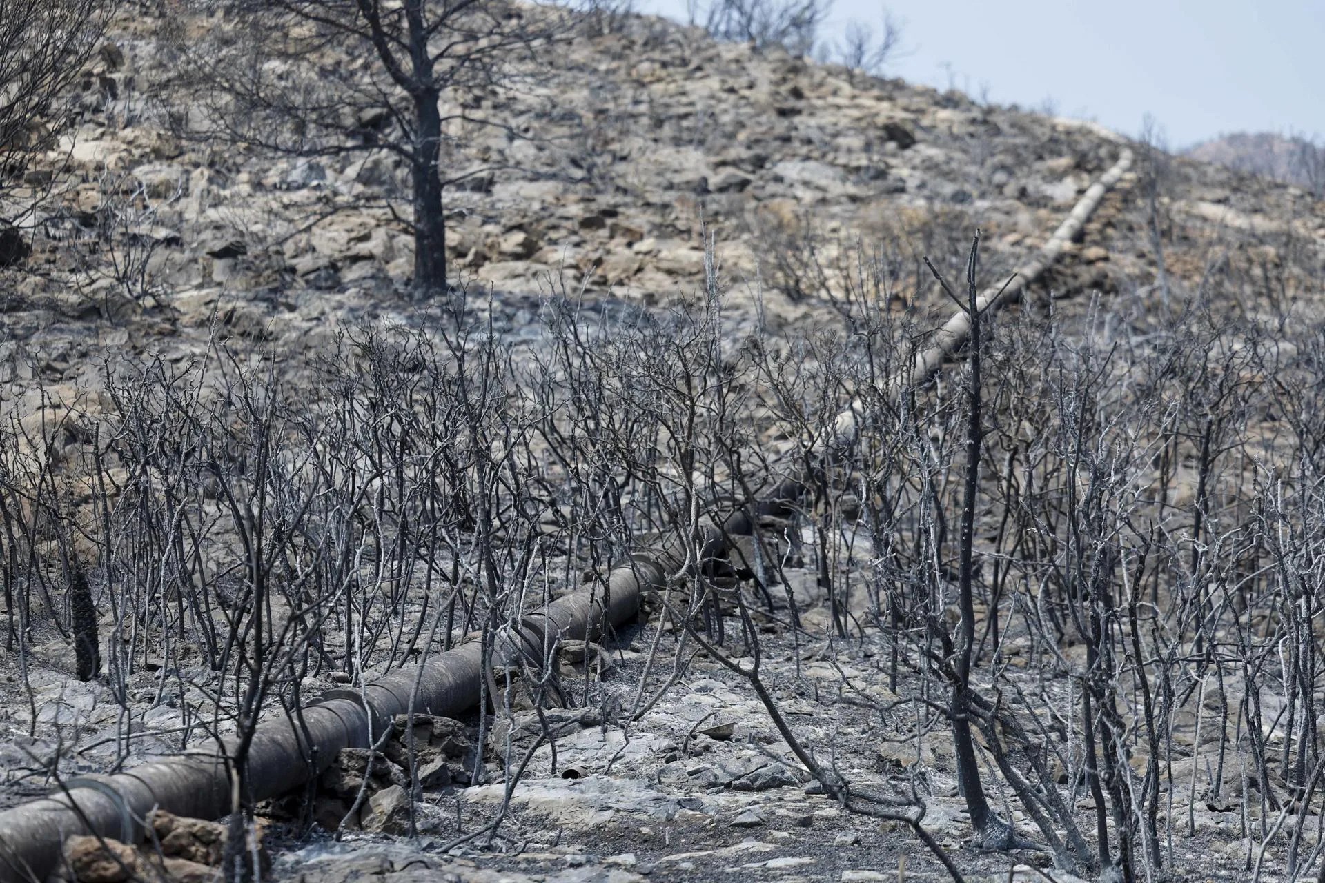 GRAFCVA5370. LA VILAVELLA (CASTELLÓN), 31/07/2026.- Una tubería recorre un paisaje quemado en la Vilavella (Castellón), uno de los municipios afectados por el incendio declarado el pasado sábado en La Vall d'Uixó (Castellón) que sigue sin estabilizar tras siete días activo, aunque el objetivo es conseguirlo este viernes y si no mañana, y mantiene evacuadas a 2.800 personas, tras haberse permitido hoy que vuelvan 2.400 vecinos, todos los que seguían evacuados menos los de Artana y Eslida. EFE/Kai Försterling