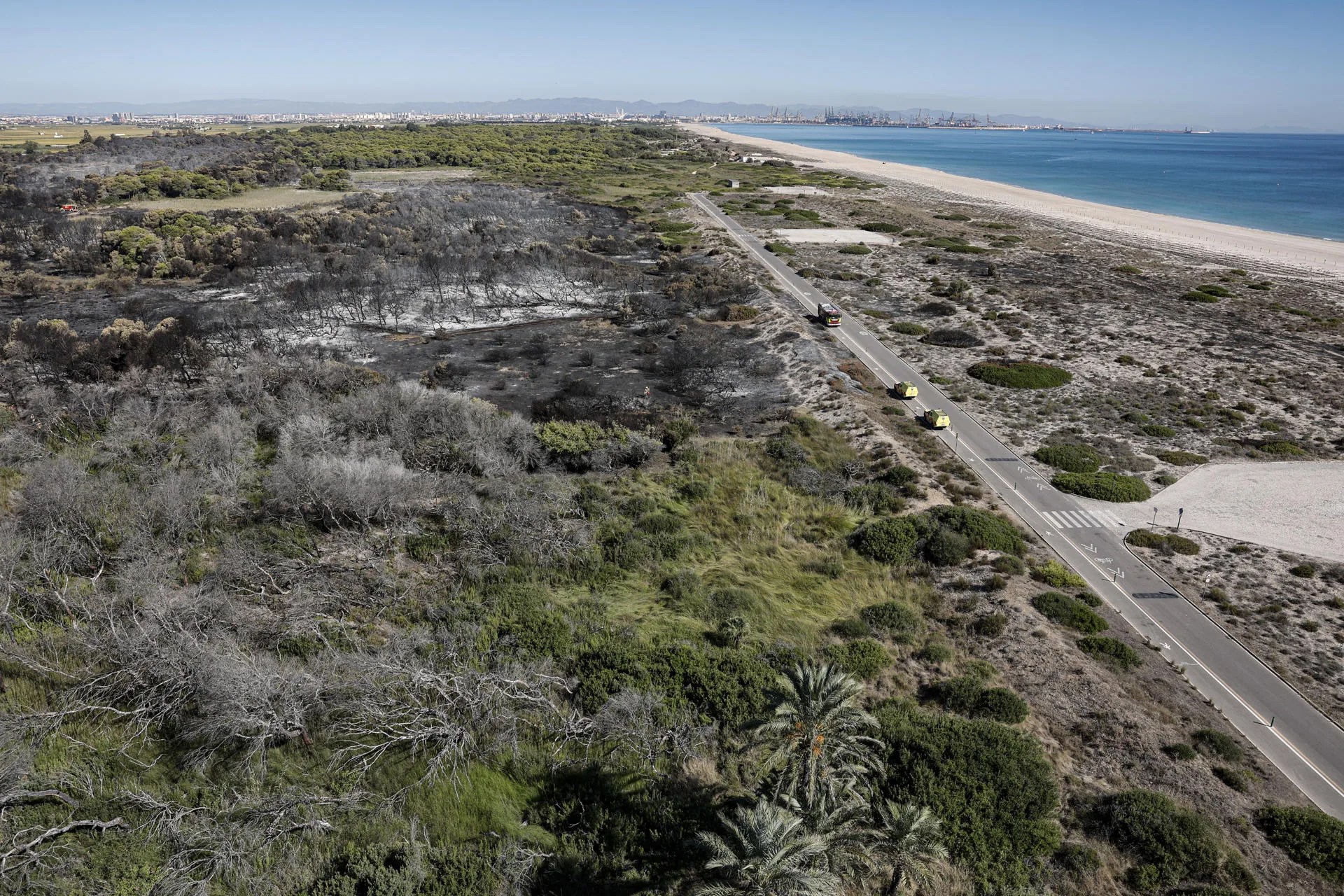 Imagen de archivo der la zona afectada del incendio de El Saler (València). EFE/Manuel Bruque /Archivo