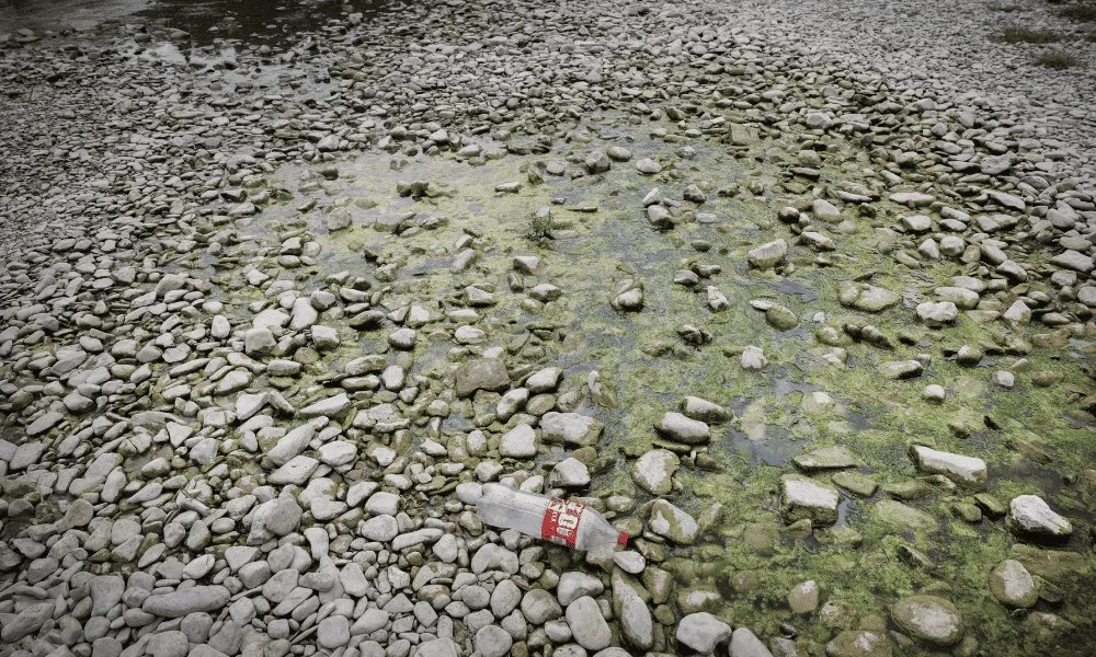 Imagen del estado del río Arga a su paso por Pamplona tras un verano de intenso calor