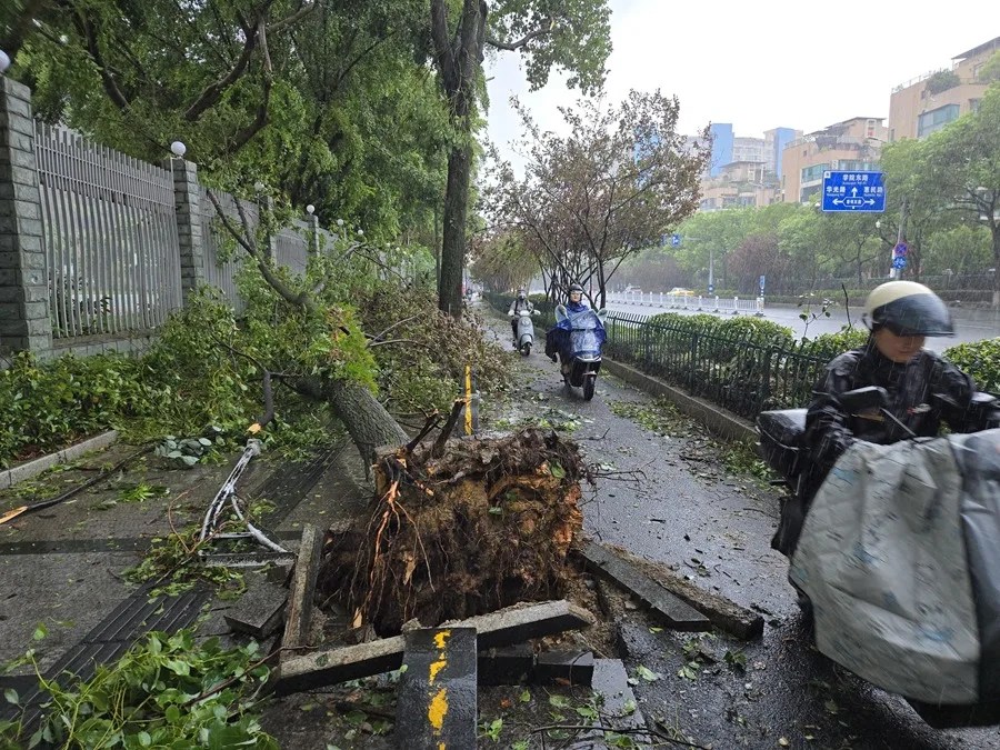 Calles afectadas por el paso del tifón Dolphin en China
