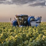 VENDIMIA AGRICULTURA