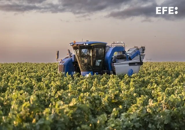 VENDIMIA AGRICULTURA