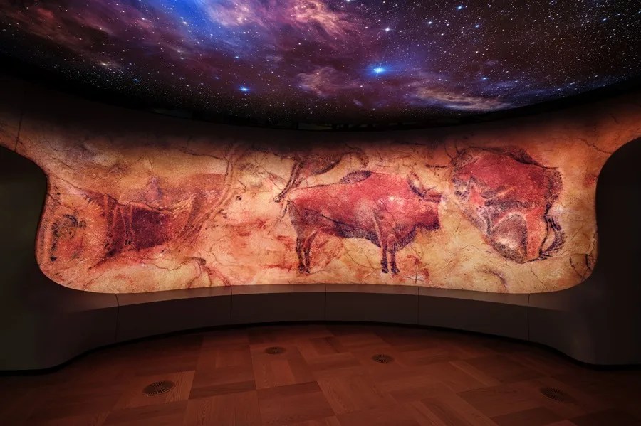 Los bisontes de Altamira están entre los protagonistas de la exposición que muestra al público el recién inaugurado museo del cineasta George Lucas en Los Ángeles (Estados Unidos), en el que también se puede ver la cierva de la cueva cántabra Patrimonio de la Humanidad. 