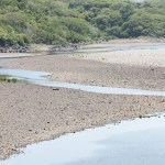 El evento extremo de El Niño causaría una pérdida de al menos el 2 % del PIB regional, según la CEPAL