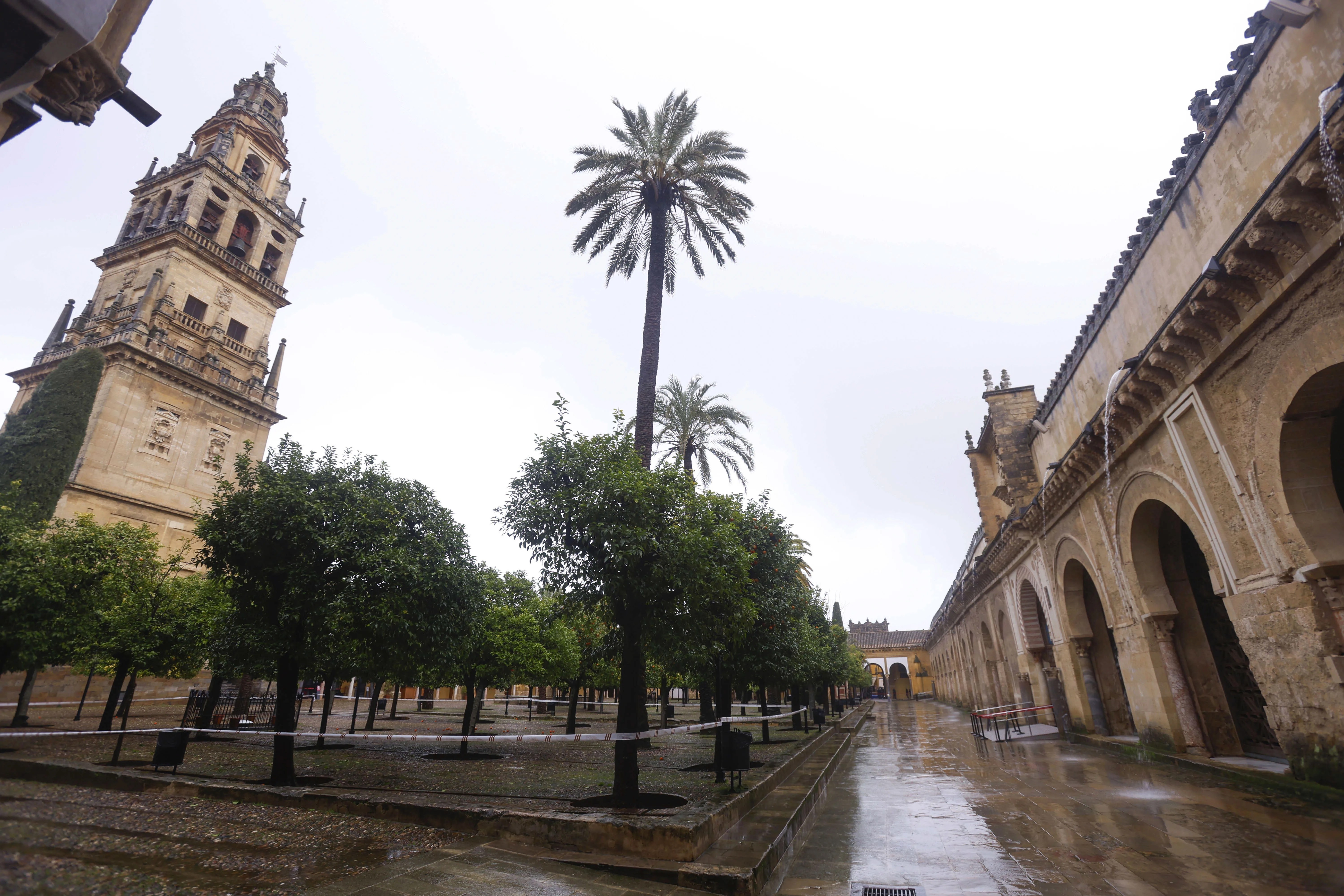 Patio de los Naranjos