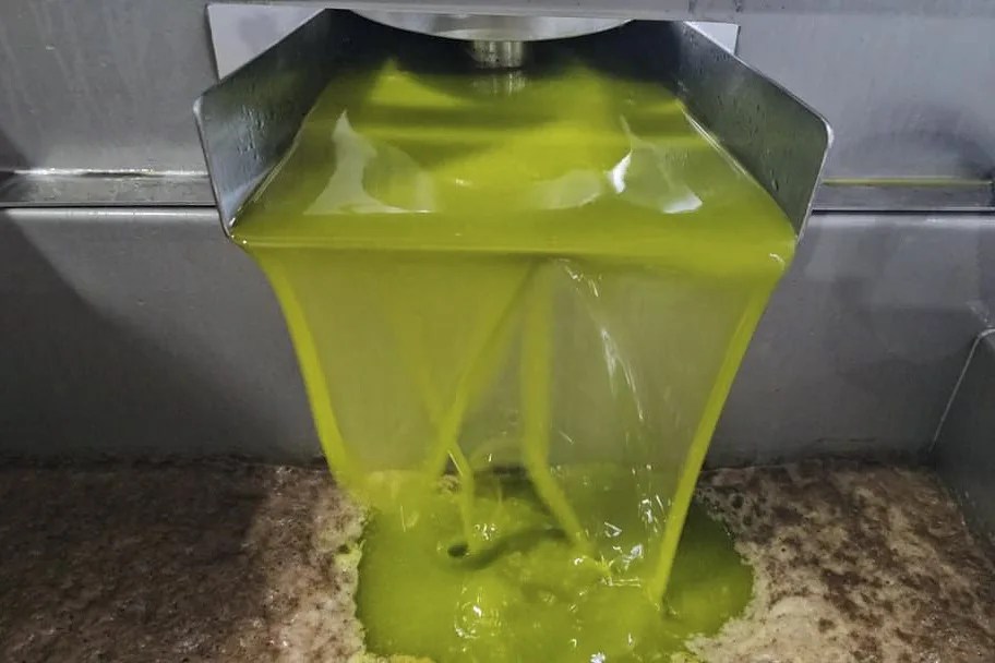 aceite de oliva