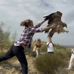La naturalista y divulgadora Odile Rodríguez de la Fuente libera un águila imperial ibérica recuperada que lleva el nombre de su padre, Félix. EFE/Ana Picón