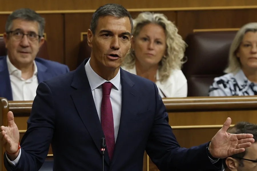 SANCHEZ LEY NIETOS