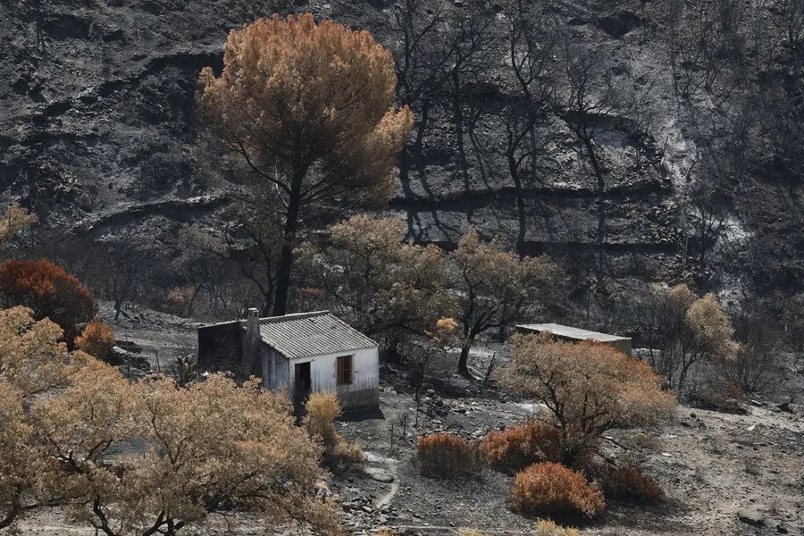 incendio Niebla Huelva