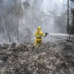 HECTAREAS ARRASADAS INCENDIOS