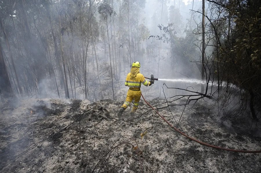 HECTAREAS ARRASADAS INCENDIOS