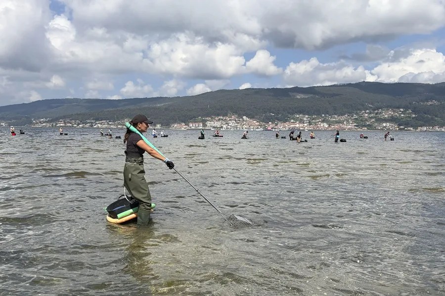 MARISQUEO GALLEGO