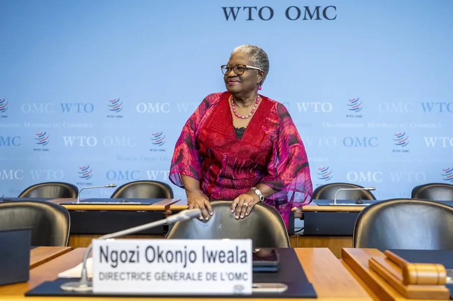 OMC COMERCIO GLOBAL