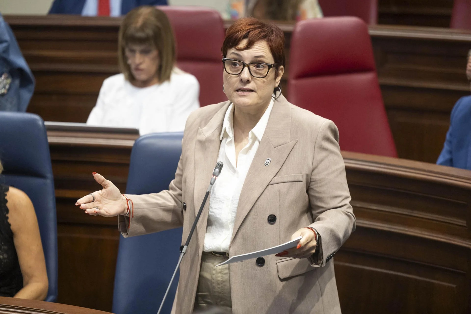 SANTA CRUZ DE TENERIFE.- Imagen de archivo de la consejera de Bienestar Social del Gobierno de Canarias,Candelaria Delgado, durante una intervención en el pleno del Parlamento autonómico. EFE/ Miguel Barreto
