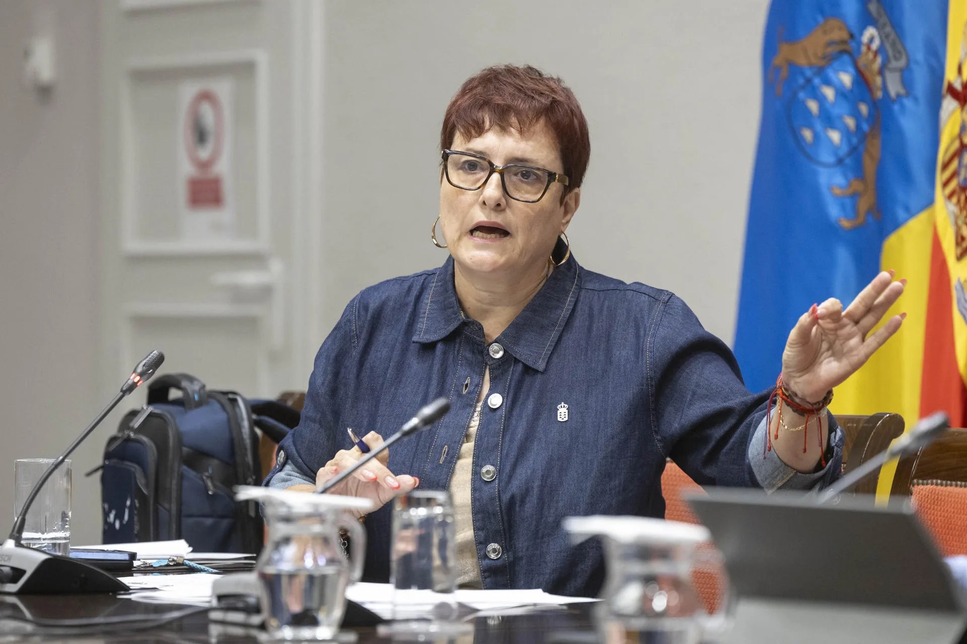 La consejera de Bienestar Social del Gobierno de Canarias, Candelaria Delgado, comparece en comisión parlamentaria para informar sobre la violencia sexual en la juventud. EFE/Miguel Barreto