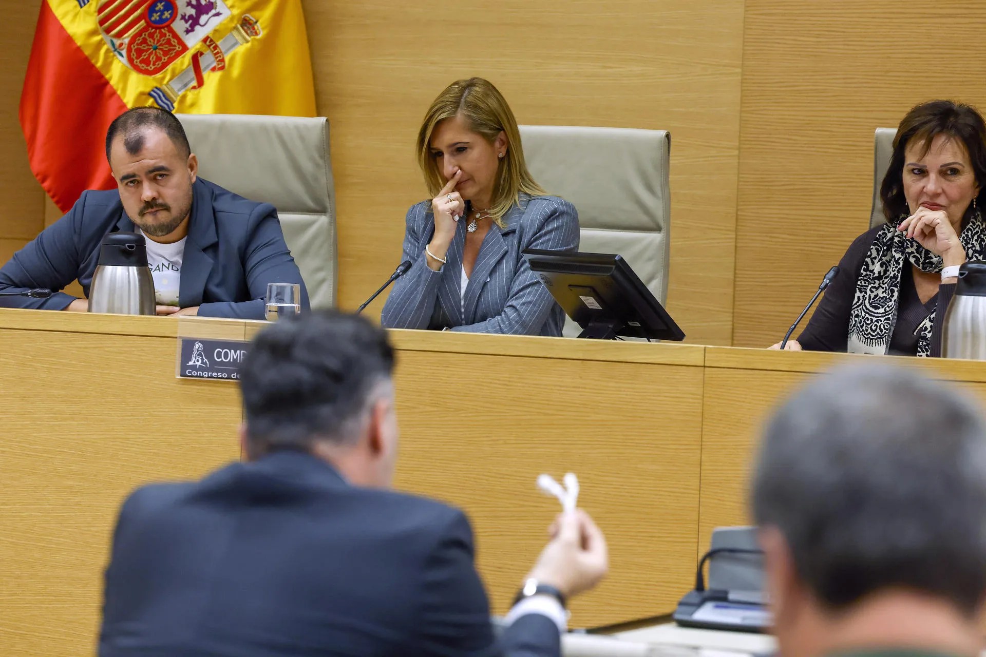La exconsellera de Justicia e Interior Salomé Pradas, en la comisión del Congreso de investigación de la dana en Valencia. EFE/Javier Lizón
