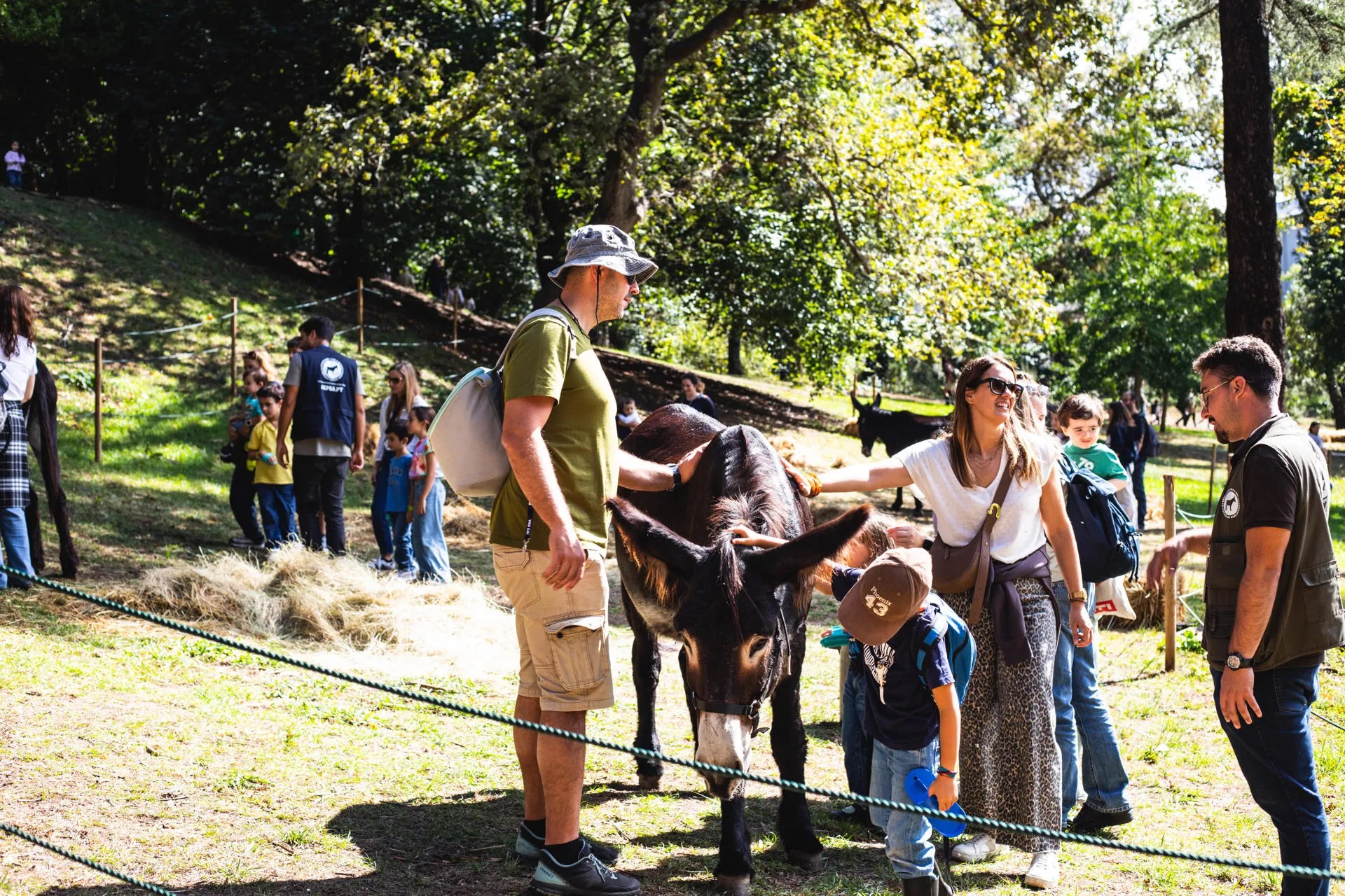 La decimosexta edición de la Fiesta de Otoño combinará espectáculos, talleres y recorridos por la naturaleza en un programa dirigido a las familias y al público general. EFE/IMAGEN CEDIDA/Fundación Serralves/CRÉDITO OBLIGATORIO
