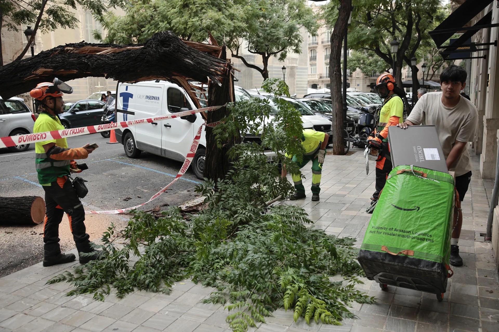 VALÈNCIA, 17/09/2026.- Bomberos y operarios retiran los árboles caídos por la lluvia en Valencia este jueves ante el episodio de lluvias de la noche de este miércoles y la madrugada del jueves. EFE/ Biel Aliño
