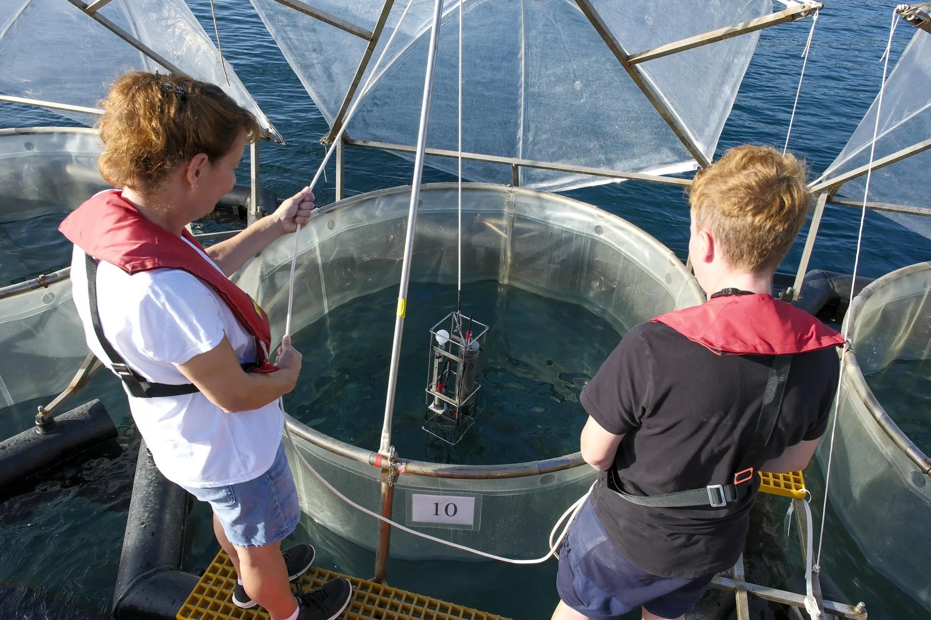Dos científicos toman muestras de uno de los tanques de agua marina donde se realiza el experimento, en las instalaciones de la Plataforma Oceánica de Canarias en Taliarte. EFE/Ángel Medina G.