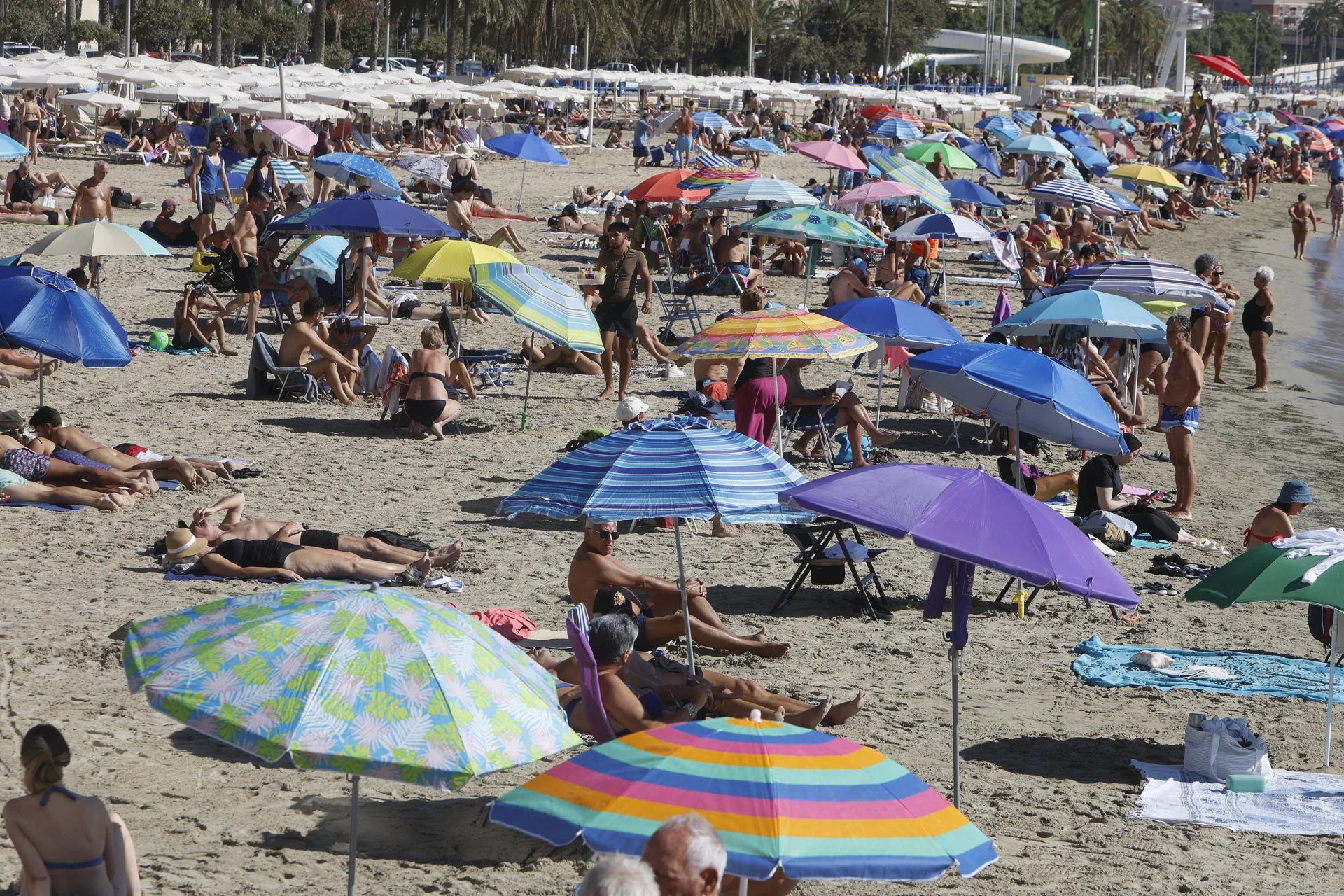 Varias personas disfrutan en la playa de El Postiguet, de las altas temperaturas registradas este martes en Alicante. EFE/Morell