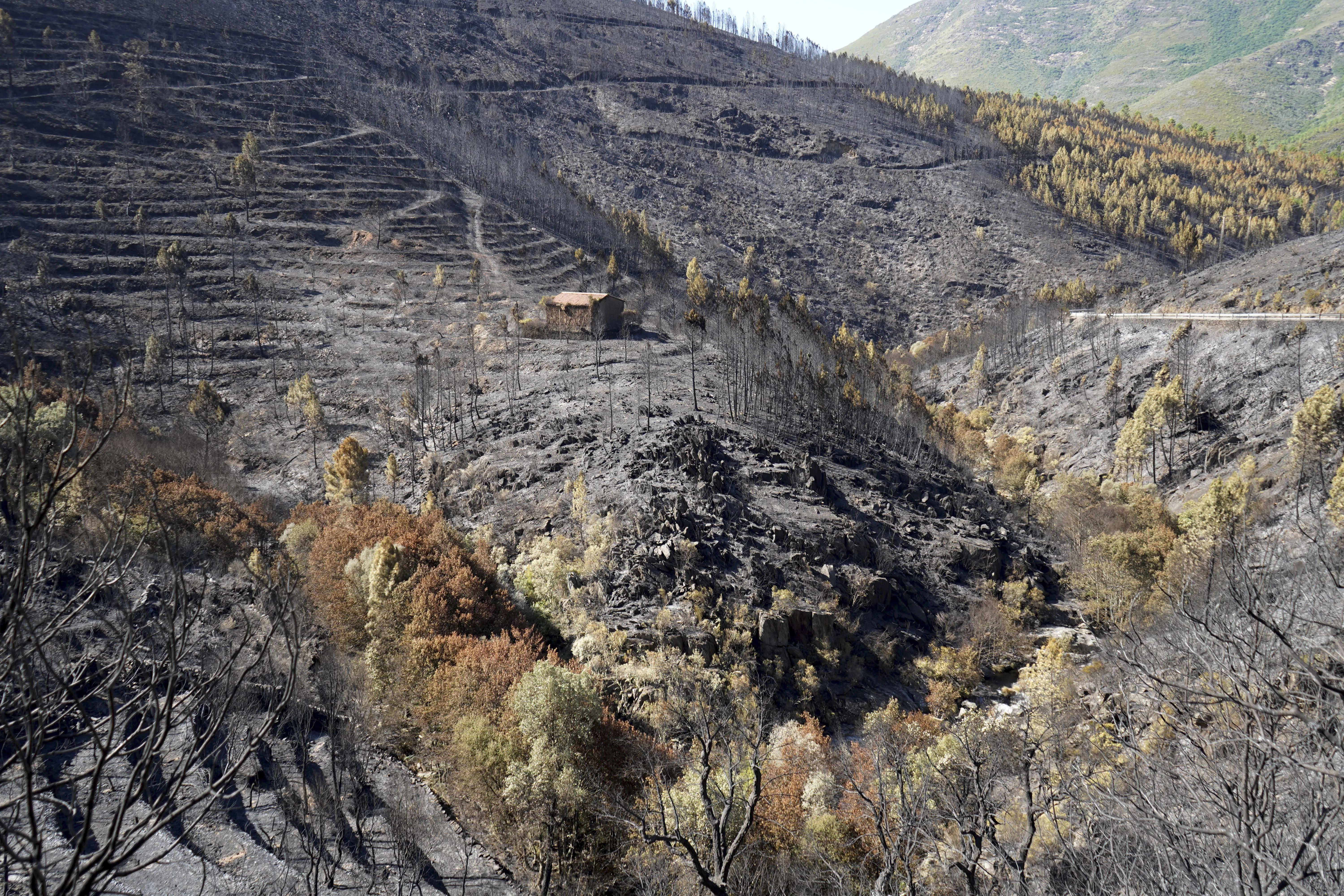 Imagen de archivo de la alquería de Avellar (Pinofranqueado/ Cáceres), tras el incendio de este verano.EFE/EDUARDO PALOMO