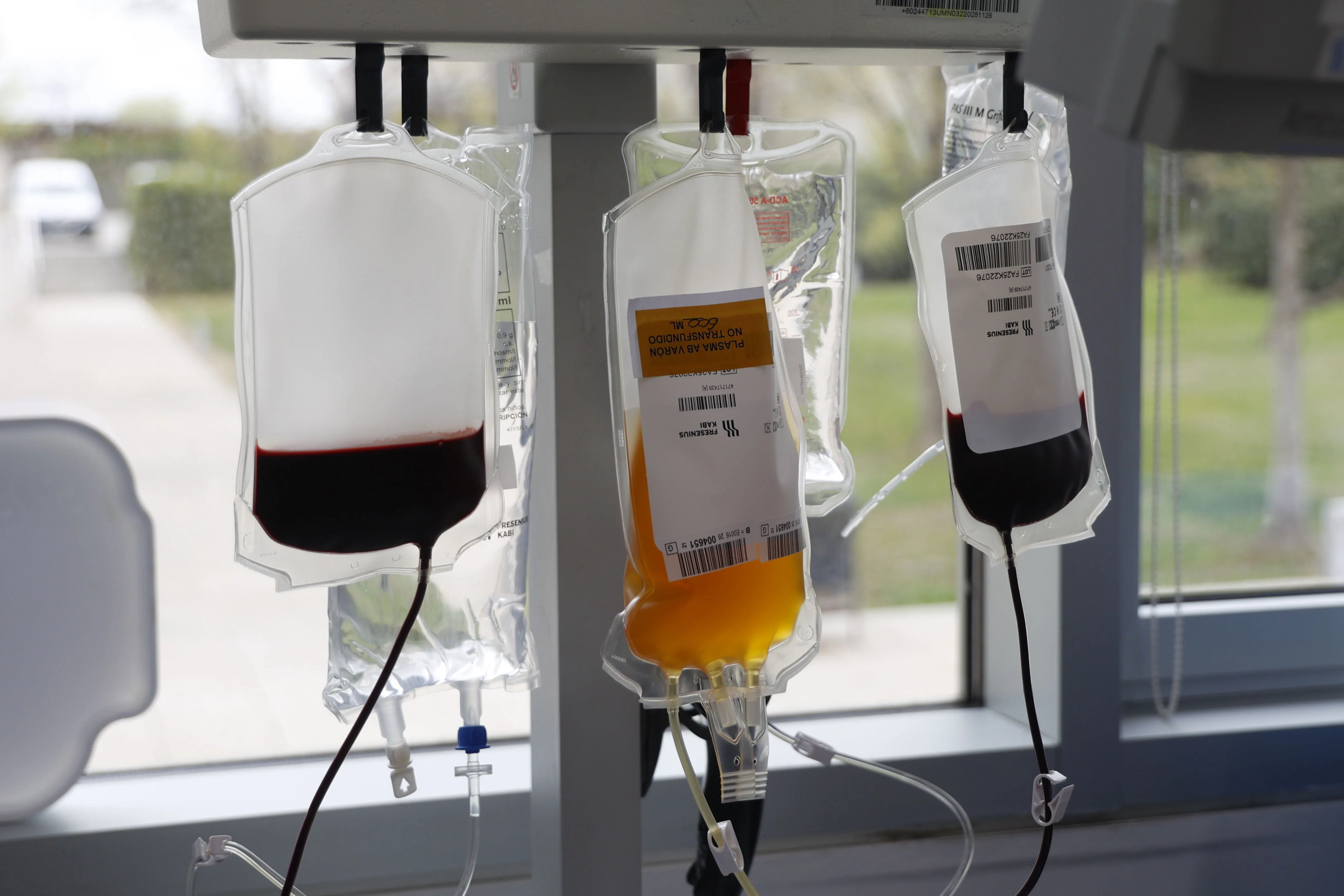 donación plasma
