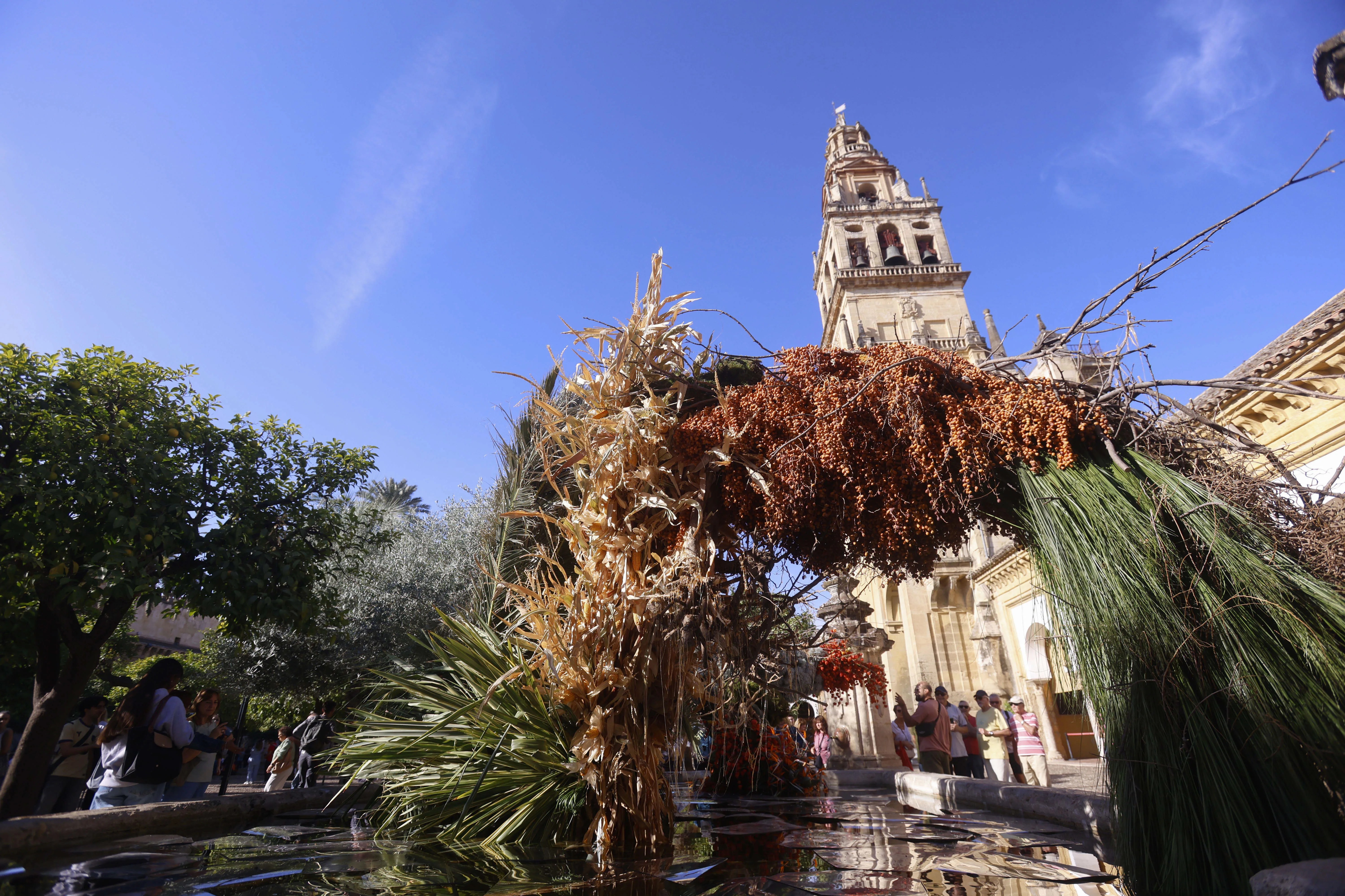 Córdoba Flora