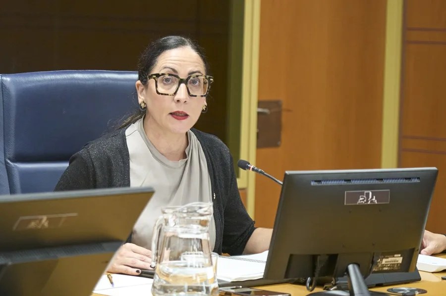 La consejera de Educación, Begoña Pedrosa, ha comparecido en el Parlamento Vasco para explicar las posibles razones de los malos resultados obtenidos por los alumnos vascos en el último informe PISA. EFE/ L. Rico