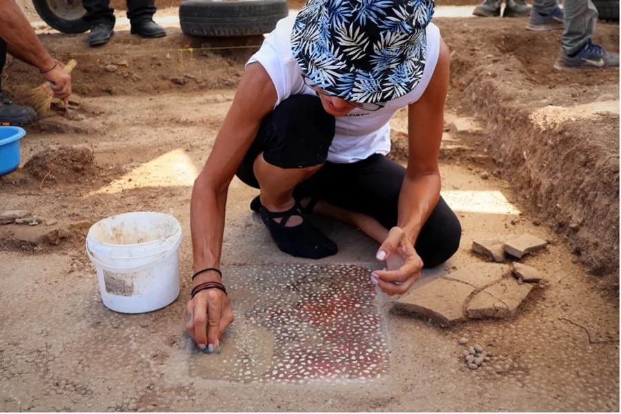 Una arqueóloga limpia un mosaico hallado en el suelo de una sala de banquetes descubierto en las excavaciones del yacimiento arqueólogico de Mieza, en el norte de Grecia, donde se ha identificado estuvo la escuela en la que el filósofo griego Aristóteles educó hace más de 2.300 años al joven Alejandro Magno. 