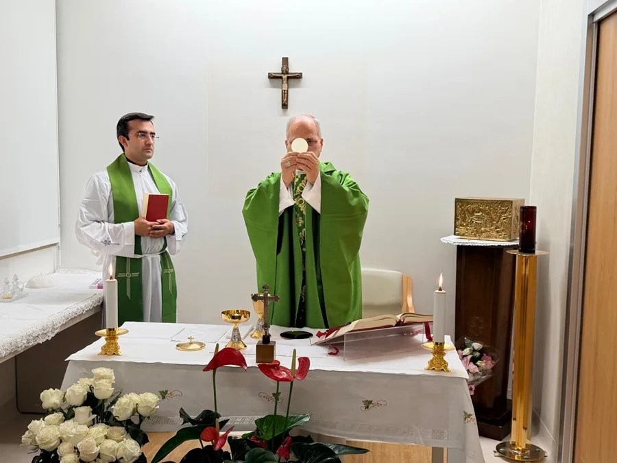 papa León recuperación