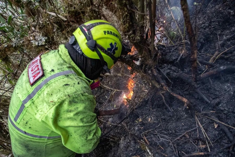 Los incendios forestales se mantienen activos en al menos cuatro regiones de Perú