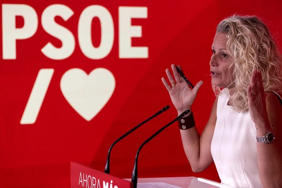 PSOE LEY NIETOS