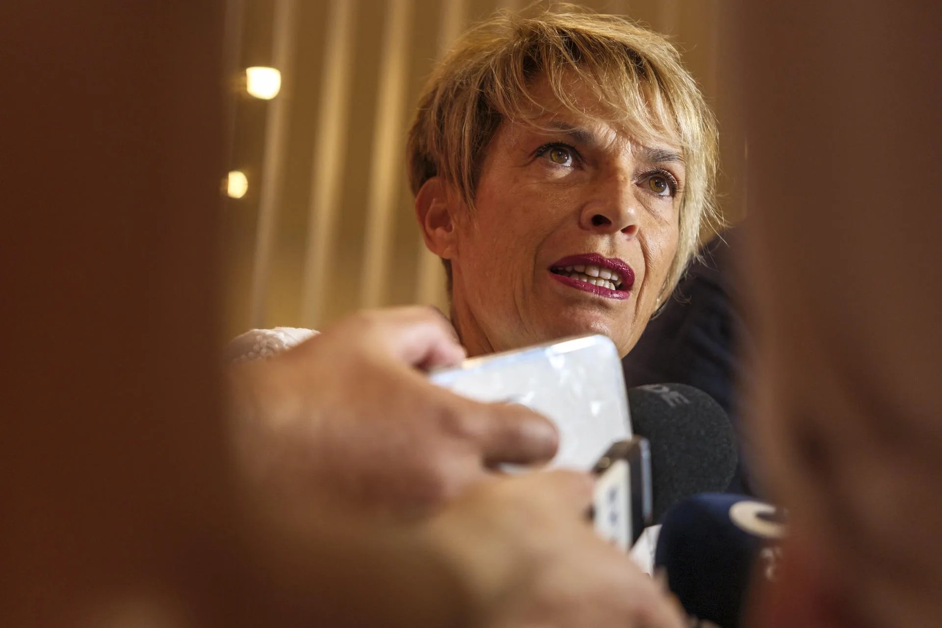 La vicesecretaria general del PSOE de Canarias, Elena Máñez, valora en rueda de prensa los decretos de vivienda aprobados esta semana en Consejo de Ministros y su impacto en el archipiélago. El PSOE canario instará al Gobierno de Canarias en el próximo pleno de la Cámara regional a aprobar un nuevo plan de vivienda a diez años vista y a tener en cuenta en los presupuestos autonómicos el complemento específico en la materia de la renta canaria. EFE/Ángel Medina G.