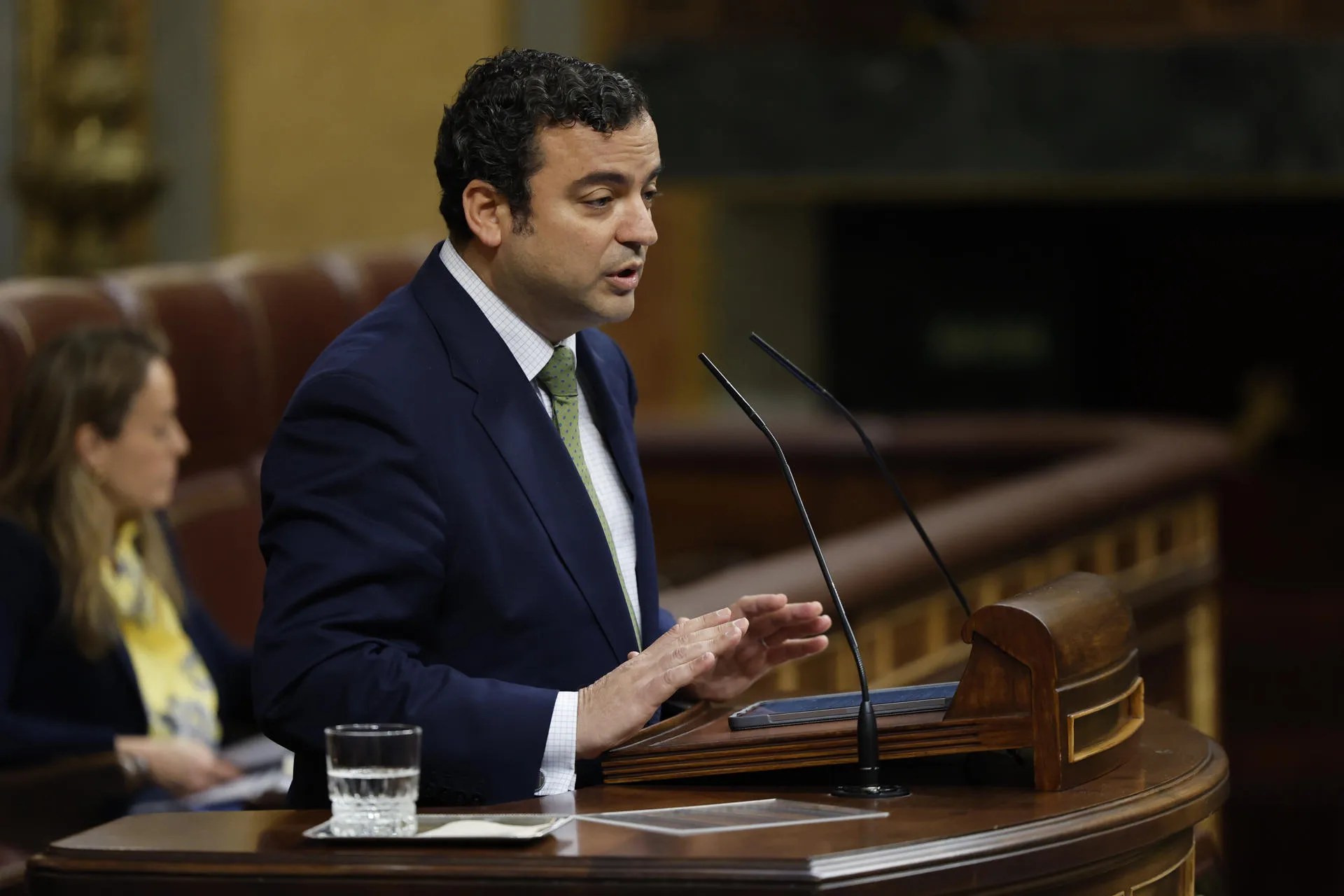 Foto de archivo del diputado de Vox Alberto Rodríguez, en una sesión del Congreso. EFE/Mariscal