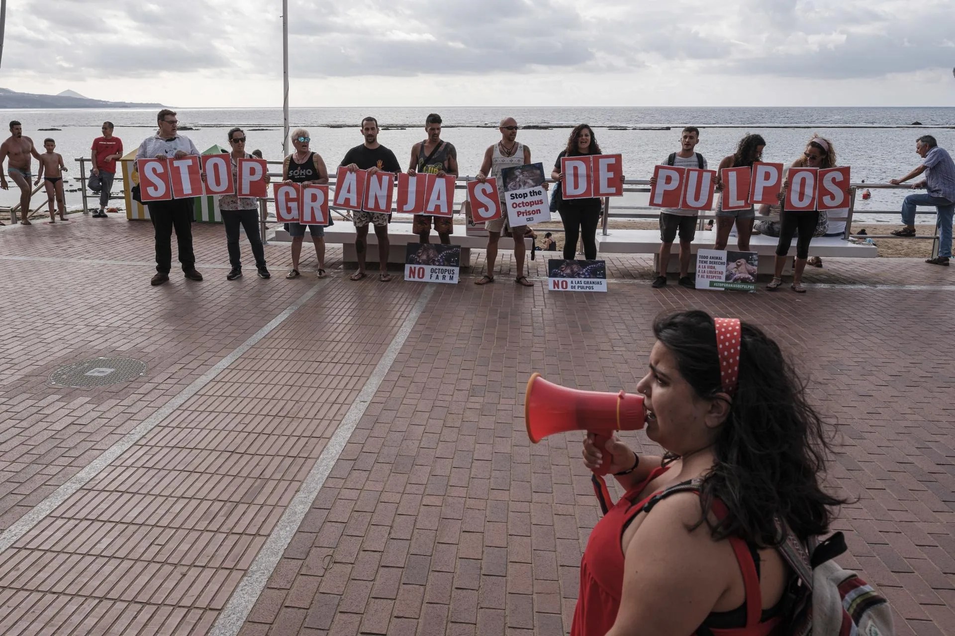 Foto de archivo de una protesta convocada por el Partido Animalista PACMA en Las Palmas de Gran Canaria contra la granja de pulpos que proyectaba Nueva Pescanova. EFE/Ángel Medina G.