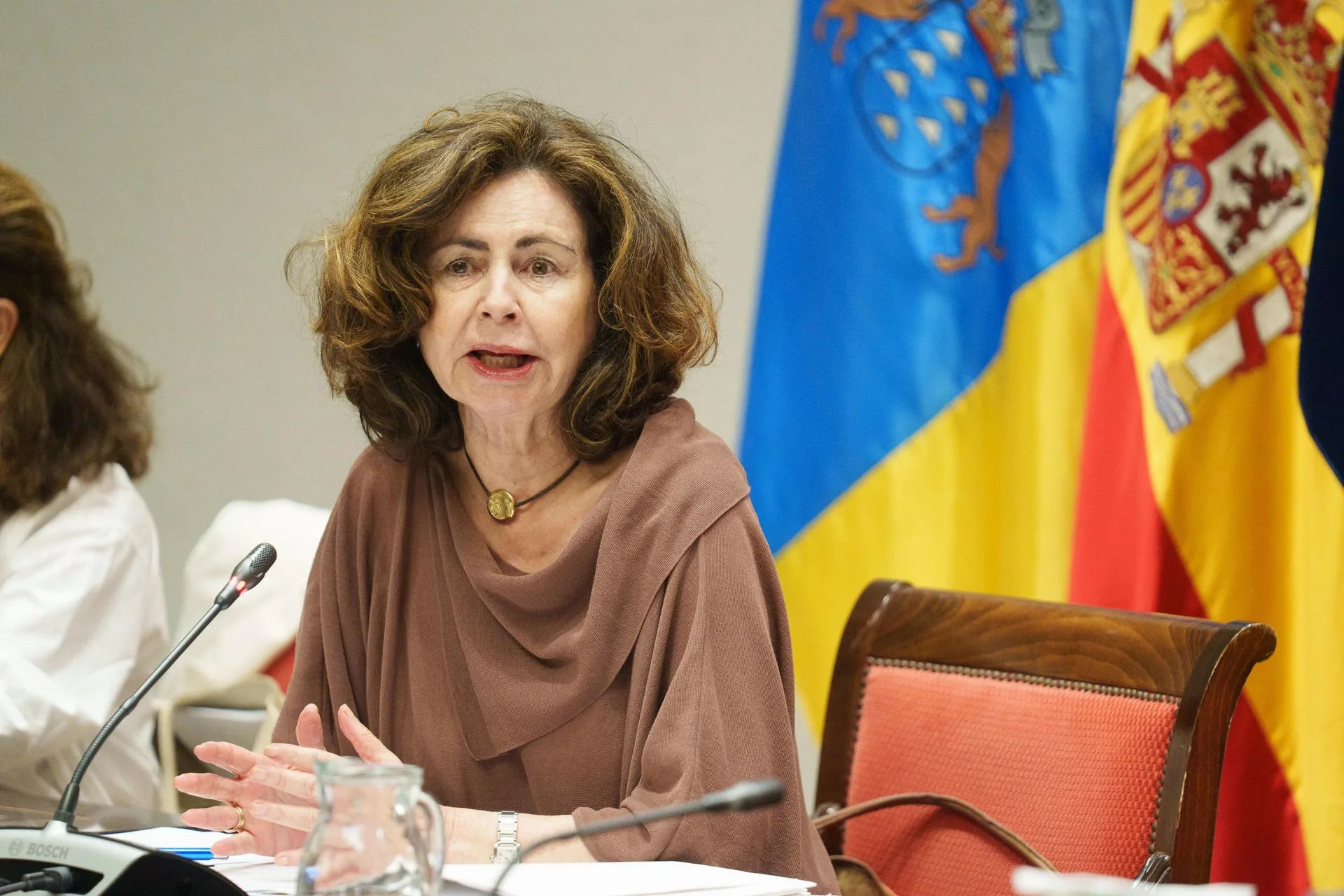 GRAFCAN8893. SANTA CRUZ DE TENERIFE (ESPAÑA), 07/10/2026.-La consejera de Hacienda del Gobierno de Canarias, Matilde Asián, comparece en comisión parlamentaria para informar sobre el apoyo del Ejecutivo al nuevo modelo de financiación autonómica y sus avances para las islas y responde a preguntas sobre las prioridades presupuestarias para 2027. EFE/Ramón de la Rocha 
EFE/Ramón de la Rocha