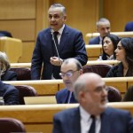 El senador de Vox Ángel Pelayo Gordillo interviene durante un pleno